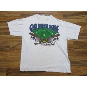 Great American Pastime Spring Training Baseball White T-shirt Sz XL 1990s